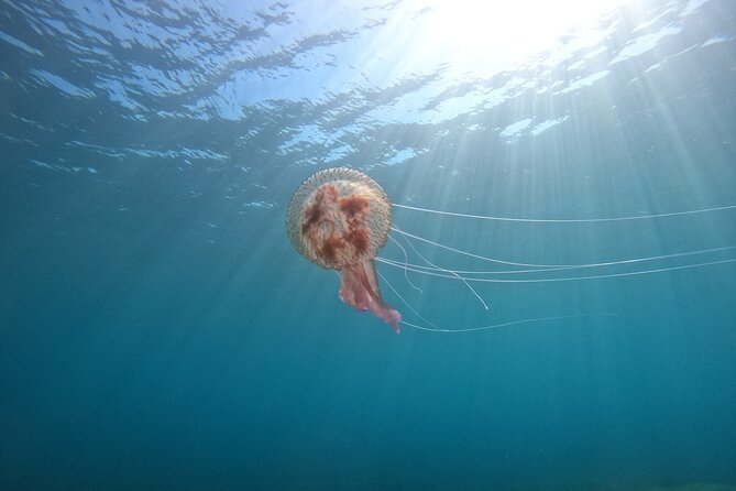 Chania Guided Snorkeling and Boat Excursion - Who This Chania Snorkeling Boat Trip Fits Best