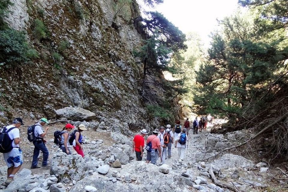 Chania: Imbros Gorge and Libyan Sea Day Tour - What you should bring (so you don’t spend the day improvising)