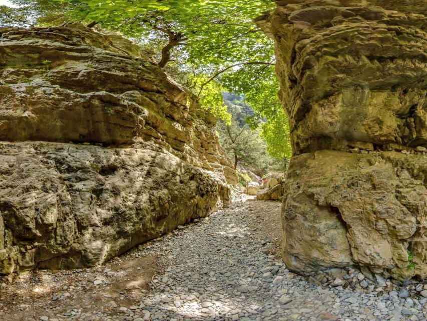 Chania: Imbros Gorge and Libyan Sea Day Tour - Price and value: what $36 really buys you (and what costs extra)