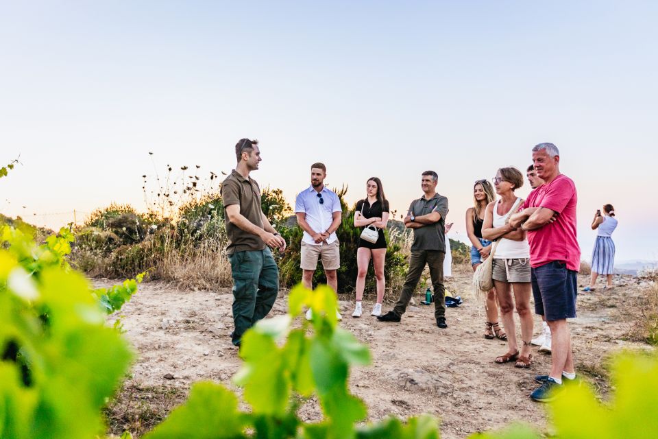 Chania: Off-Road Tour at Sunset - Should You Book Chania’s Sunset Off-Road Safari?