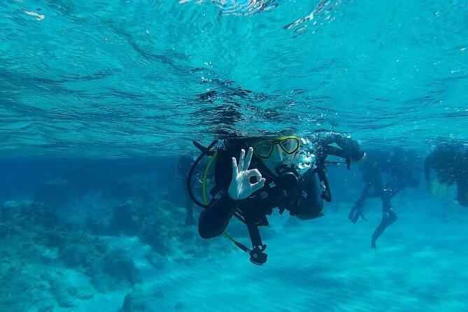 Chania: Scuba Diving for Beginners - Chania Pickup to Almyrida Beach: How the day gets going