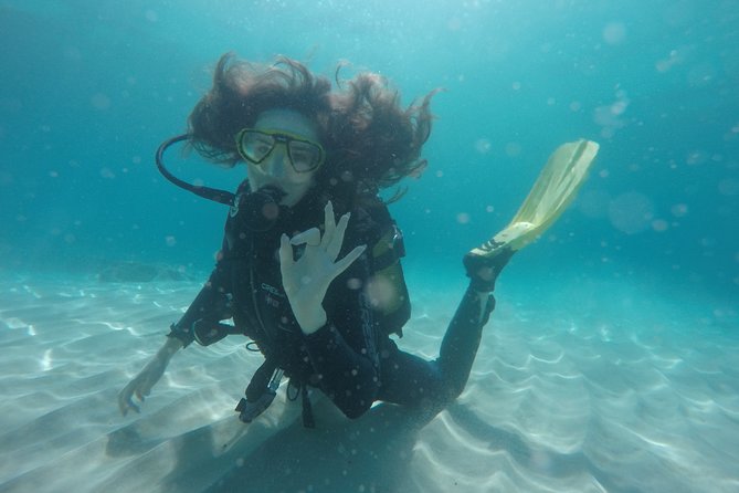 Chania: Scuba Diving for Beginners - Gear and Beach Setup: What you’ll handle (and what you won’t)