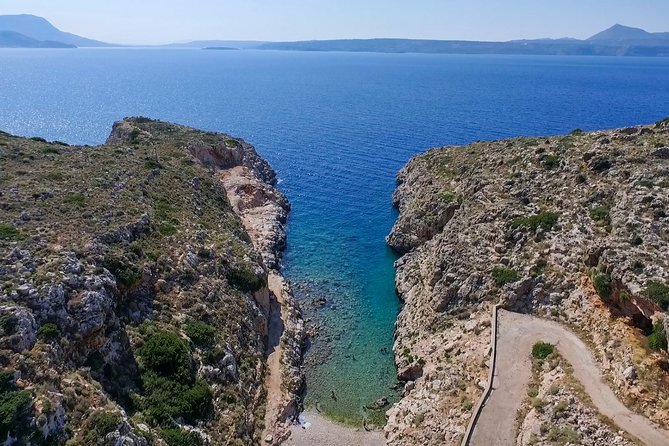 Chania: Scuba Diving for Beginners - What you’ll see off Crete: fish, sponges, and small surprises