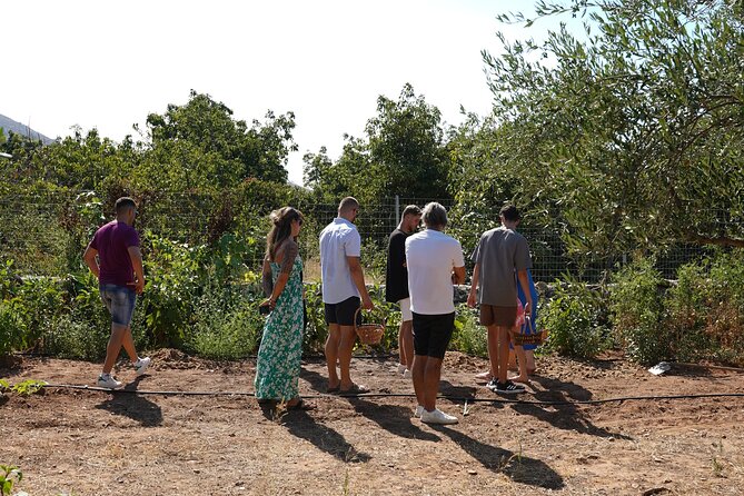 Chania Sourdough Bread Class - Olive Oil Tasting - Olive Oil Tasting With Your Bread: How to Get More From It