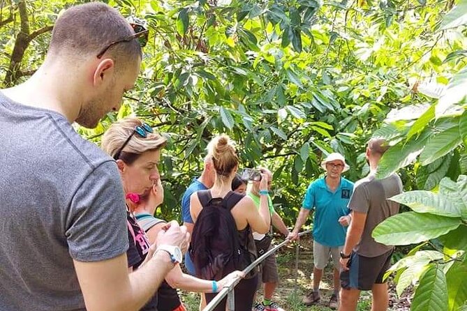 Chocolate and Coffee Tour Farm Don Jorge - Key highlights worth planning around