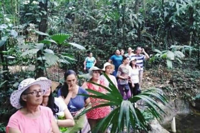 Chocolate and Coffee Tour Farm Don Jorge - From cacao pod to chocolate bar: the process you’ll understand by the end