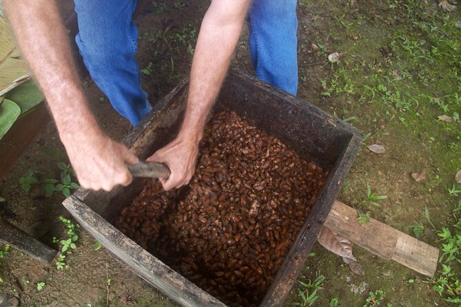 Chocolate and Farm Tour with local Tico family - What This Cacao and Farm Tour Is Really About