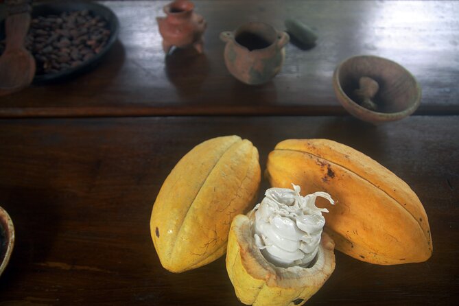 Chocolate and Farm Tour with local Tico family - The 2-Hour Plantation Walk: From Flower to Fruit