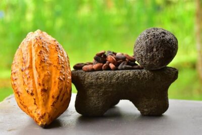 Chocolate Experience in Jaco Beach and Los Suenos - Vista Los Sueños meetup and your 2-hour chocolate schedule