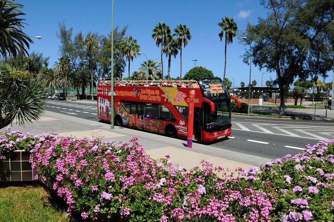 City Sightseeing Las Palmas de Gran Canaria Hop-On Hop-Off Bus Tour - Getting Your Bearings Fast on a 24-Hour HoHo Ticket