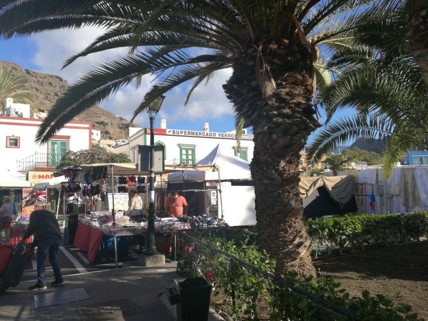 City Treasures Unveiled: 3.5-Hour Las Palmas Cab & Walking - The Tapas Break: One Stop That Makes It Feel Local
