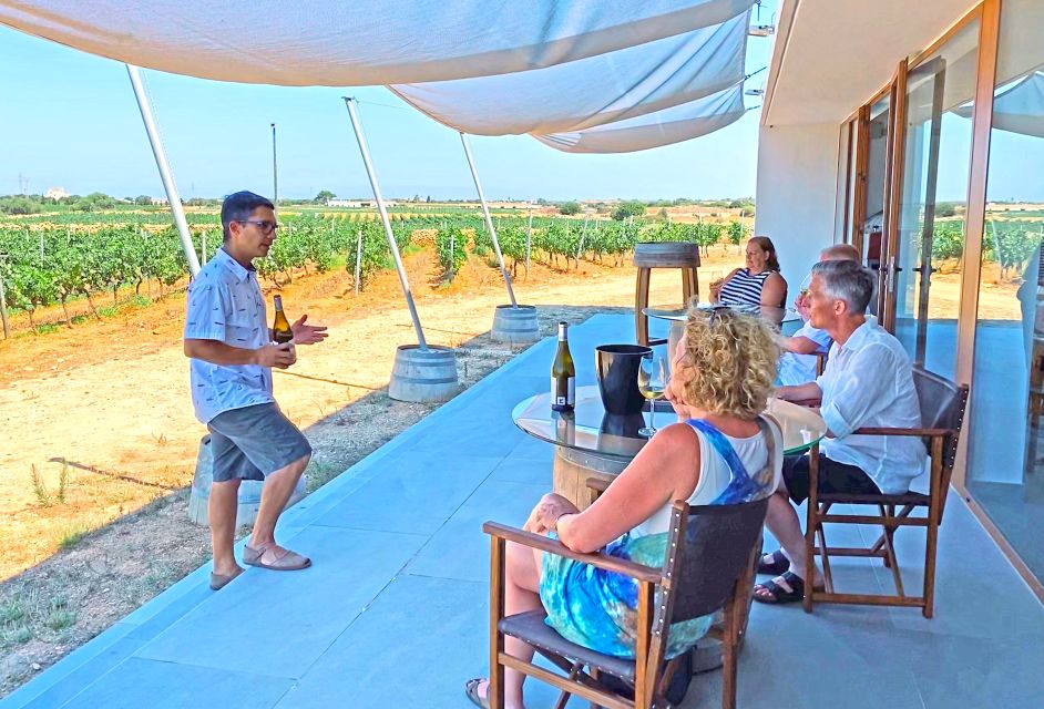 Ciutadella de Menorca: Family Winery Tour with Wine Tasting - What’s in the tasting: white, red, Vermut, and verjus