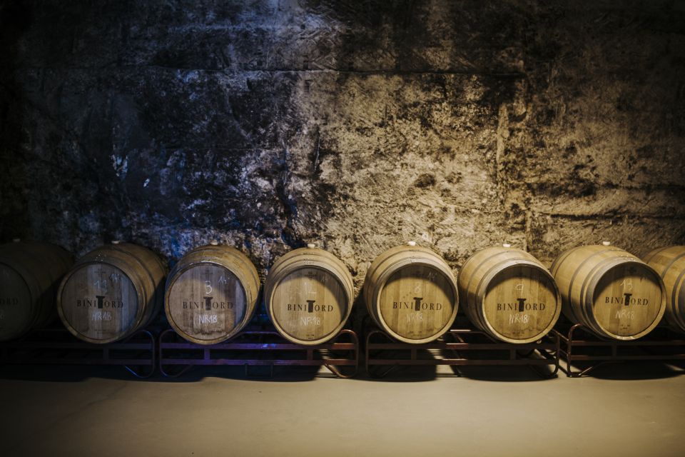 Ciutadella de Menorca: Family Winery Tour with Wine Tasting - How the 1-hour itinerary actually moves (without rushing you)