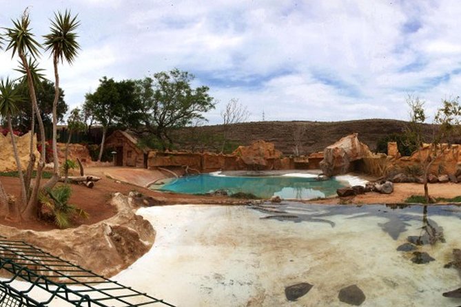 Cocodrilo Park Zoo Admission Ticket in Agüimes - The animal highlights you’ll want to plan around