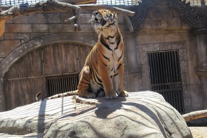 Cocodrilo Park Zoo Admission Ticket in Agüimes - Monkey snack-bar and what to bring (food isn’t included)