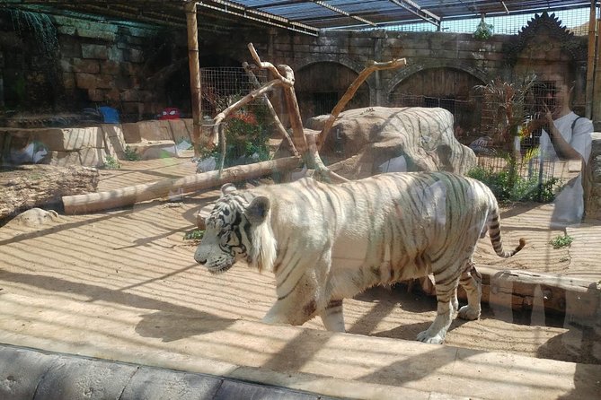 Cocodrilo Park Zoo Admission Ticket in Agüimes - Comfort, shade, and accessibility: what to expect on your feet