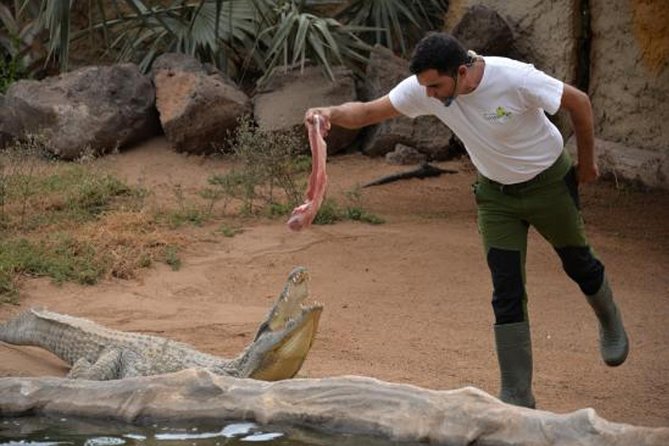 Cocodrilo Park Zoo Admission Ticket in Agüimes - Ticket value at about $11.49: what you actually get