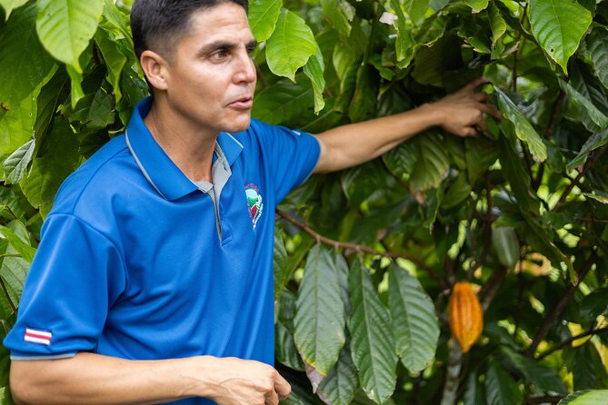 Coffee & Chocolate Tour+Sloths Park & Llanos de Cortez Waterfall - Spring Paradise Bijagua Tours: rainforest paths and sloth spotting