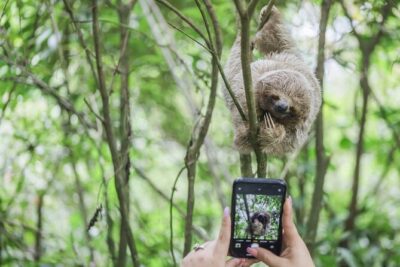 Coffee & Chocolate Tour+Sloths Park & Llanos de Cortez Waterfall - Café & Cacao Tour Bijagua: coffee and chocolate you can actually trace