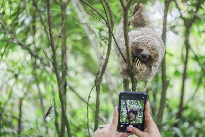 Coffee & Chocolate Tour+Sloths Park & Llanos de Cortez Waterfall - Café & Cacao Tour Bijagua: coffee and chocolate you can actually trace