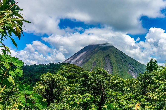 Combined Tour (Hanging Bridges, La Fortuna Waterfall, Arenal Volcano) - Stop 1: Arenal Hanging Bridges walk—1 hour, ticket included