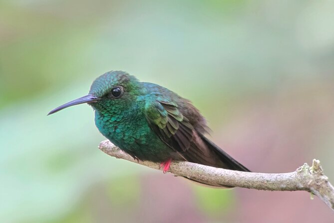 Combo 3 Best Tours In La Fortuna - Key highlights at a glance