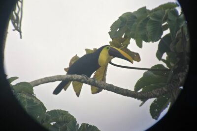 Combo 3 Best Tours In La Fortuna - The 7:00 AM start and how 9 hours feels on the ground