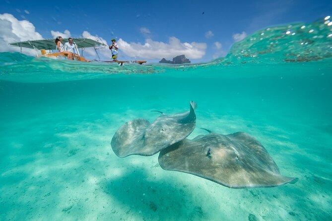 Combo snorkeling + motu lunch + jet ski group tour full day - A full lagoon day in one ticket: snorkeling + motu lunch + jet ski