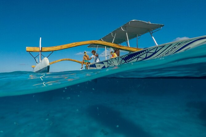 Combo snorkeling + motu lunch + jet ski group tour full day - Sharks, manta rays, and why the guide’s path matters