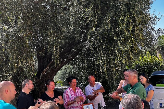 Cooking Classes and olive oil tasting.The real taste of Greece! - Welcome Bruschetta and Wood-Fired Cooking: Greek Grandma Skills, Hands-On