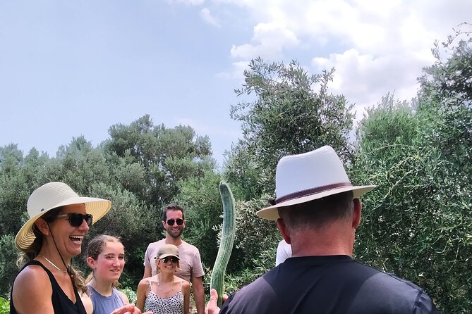Cooking Lesson in Heraclion - Harvesting from the orchard: the lesson behind the ingredients
