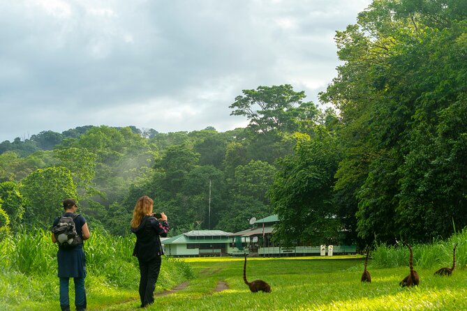 Corcovado and Drake Bay 2-Day Small-Group Safari Guided Tour - Corcovado National Park days: trails, breaks, and a smart pacing system