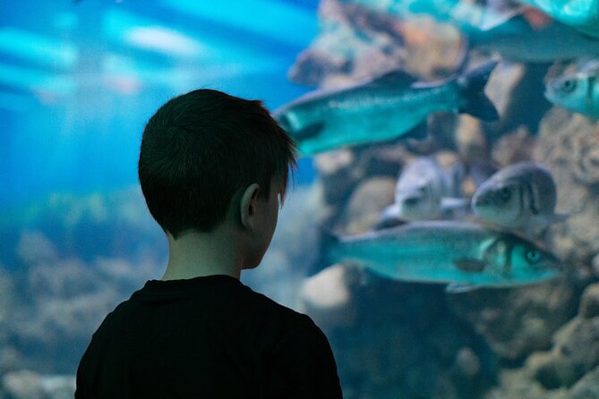 Corfu Aquarium Ticket with Tour Included - What You’ll Actually Do in This Tour
