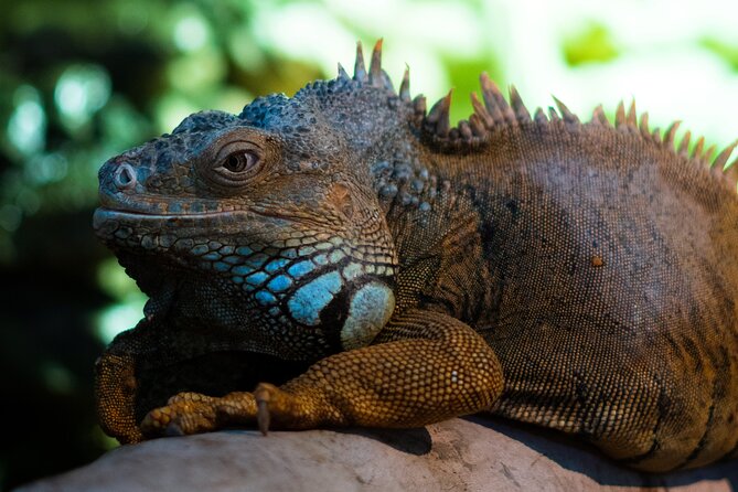 Corfu Aquarium Ticket with Tour Included - Key Highlights to Know Before You Go