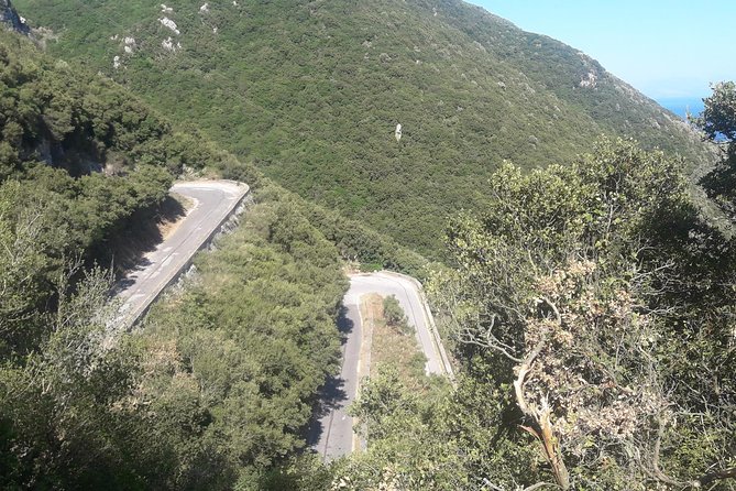 Corfu by bike: Countryside, Forests and Villages - Who This Tour Suits Best (and Who Should Think Twice)