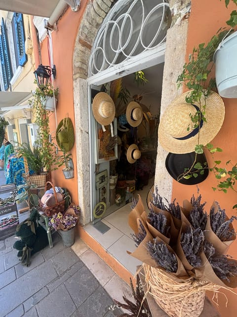 Corfu: Dog Sightseeing Tour - Charity in Action: Where Your $34 Helps Local Shelters