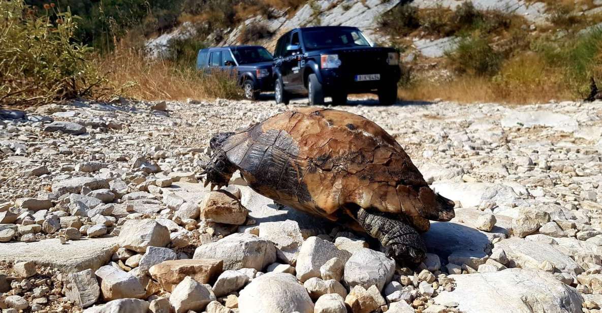 Corfu: Mount Pantokrator Shore Excursion - North Corfu by 4x4: why this feels more like an outing than a tour