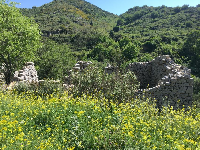 Corfu: Northwest Coast and Village Charms 4x4 Tour - Key things to know before you go