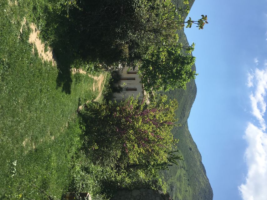 Corfu: Northwest Coast and Village Charms 4x4 Tour - Price and ride comfort: does $135 buy real value?