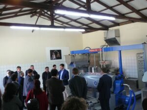 Corfu: Olive Oil Experience - The Governor's Olive Mill - The Governor Mill Stops: Why the Tour Works