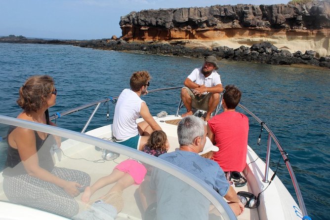 Costa Adeje | Cetacean sighting in Tenerife South - Key takeaways before you go