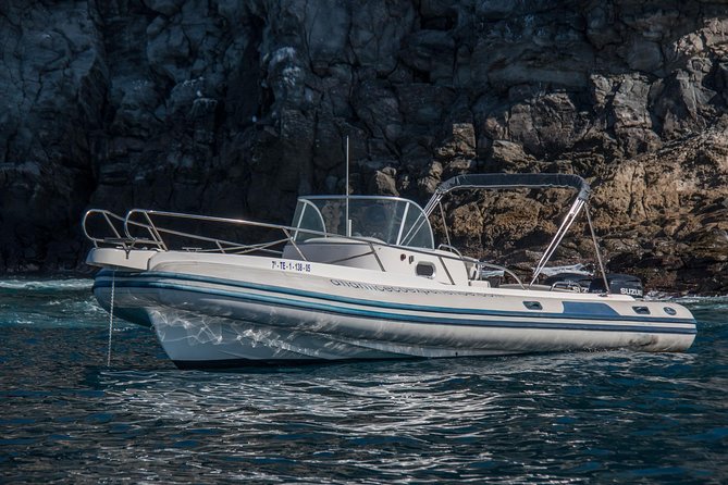 Costa Adeje | Cetacean sighting in Tenerife South - The hydrophone moment: hearing whalesong changes everything