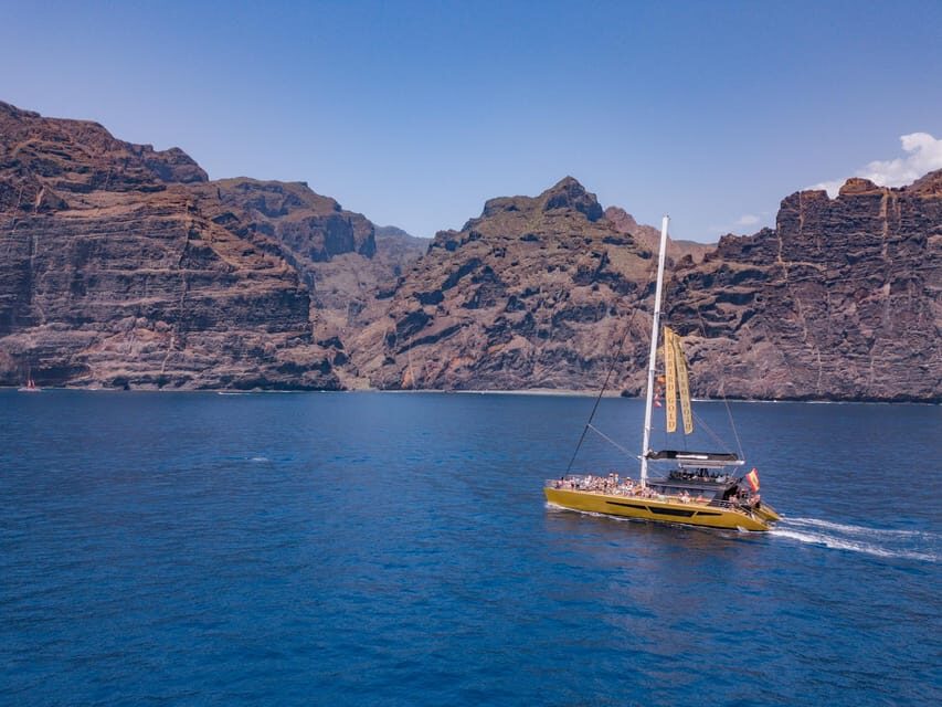 Costa Adeje: Masca and Los Gigantes Whale Watching Cruise - Key things I’d bet on