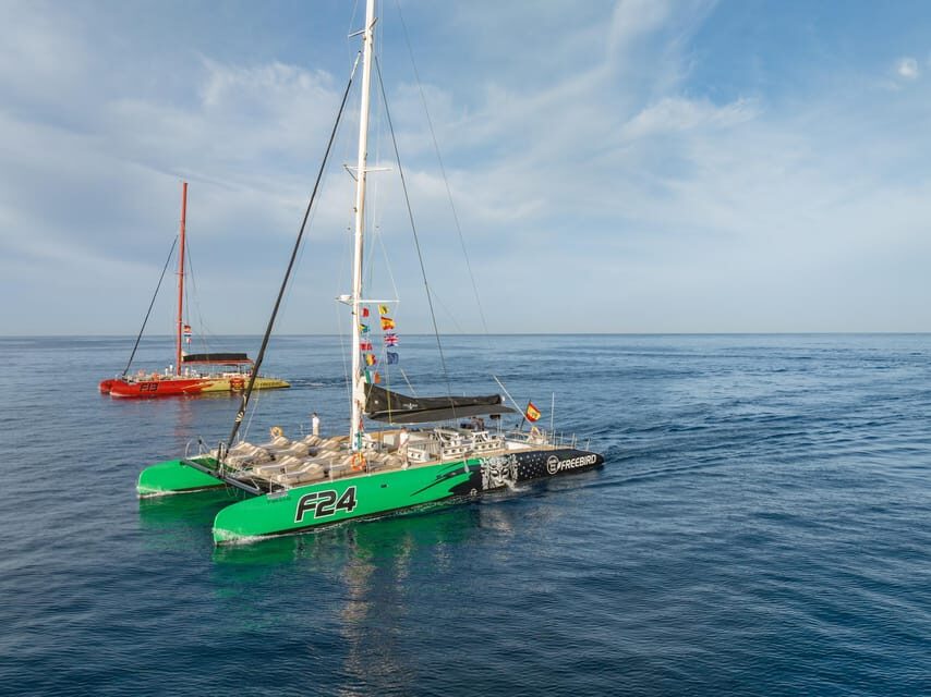 Costa Adeje: Masca and Los Gigantes Whale Watching Cruise - Costa Adeje Catamaran: What makes this cruise feel worth $71
