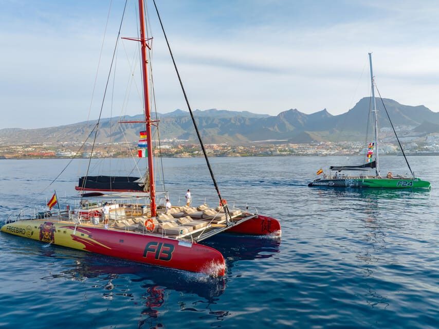 Costa Adeje: Masca and Los Gigantes Whale Watching Cruise - Los Gigantes cliffs: photo stops, meal time, and why you’ll care from the sea