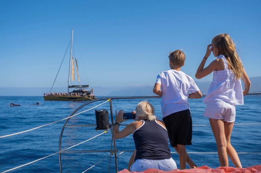 Costa Adeje: Masca and Los Gigantes Whale Watching Cruise - Price and value: what you’re really paying for