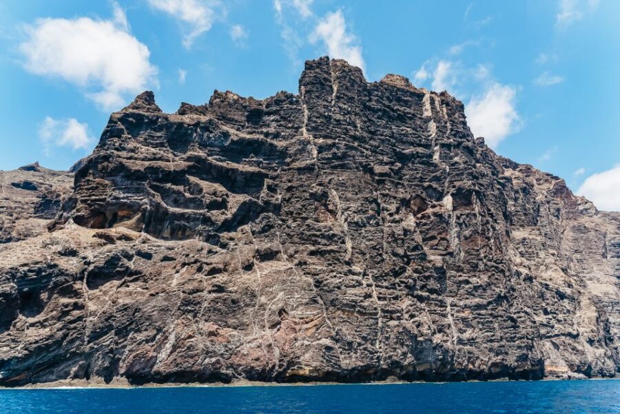 Costa Adeje: Masca and Los Gigantes Whale Watching Cruise - Who this cruise suits best (and who might want a different day)