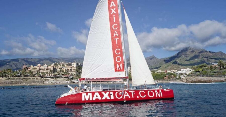 Costa Adeje: Whale and Dolphin Cruise with Food and Pickup - Key moments that make this cruise worth your time