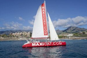 Costa Adeje: Whale and Dolphin Cruise with Food and Pickup - Pickup, check-in, and the safety briefing that sets you up