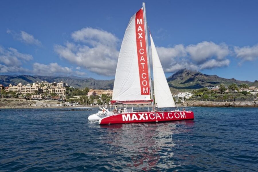 Costa Adeje: Whale and Dolphin Cruise with Food and Pickup - Tenerife coastline views and Teide Volcano on the return